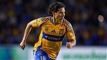 Diego Mestanza Net Worth