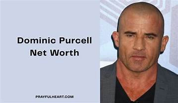 Dominic Nolfi Net Worth