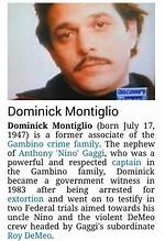 Dominick Montiglio Net Worth