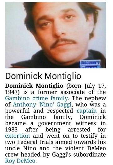 Dominick Montiglio Net Worth