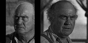 Dub Taylor Net Worth