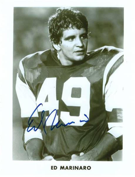 Ed Marinaro Net Worth