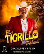 El Tigrillo Palma Net Worth