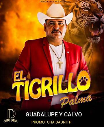 El Tigrillo Palma Net Worth