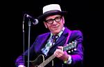 Elvis Costello Net Worth