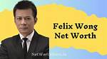 Felix Fang Net Worth