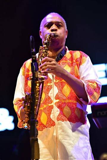 Femi Kuti Net Worth