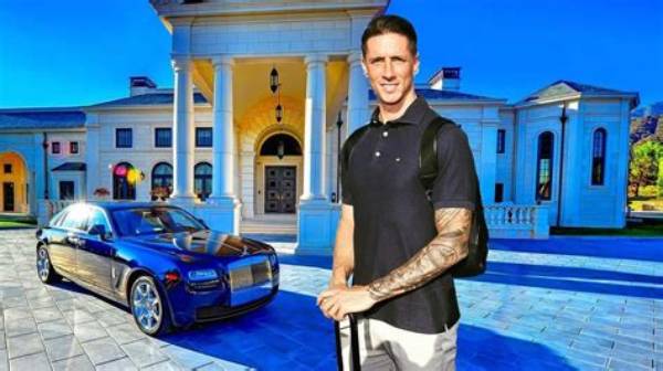 Fernando Torres Net Worth