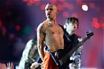Flea Net Worth