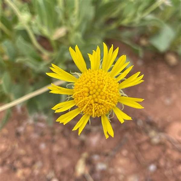 Flower Parry Net Worth