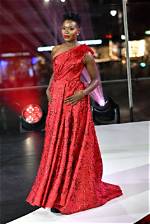 Folake Olowofoyeku Net Worth