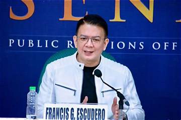 Francis Escudero Net Worth