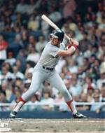 Fred Lynn Net Worth