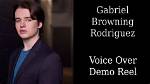 Gabriel Browning Rodriguez Net Worth
