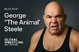 George Steele Net Worth