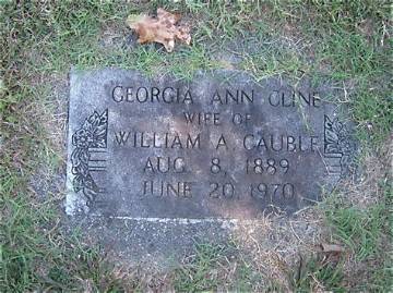 Georgia Ann Cline Net Worth