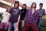 Gin Blossoms Net Worth