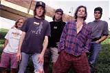 Gin Blossoms Net Worth