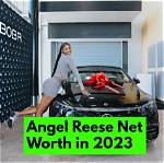 Greg Reese Net Worth