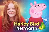 Harley Bird Net Worth
