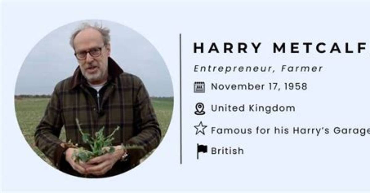 Harry Metcalfe Net Worth