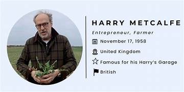 Harry Metcalfe Net Worth