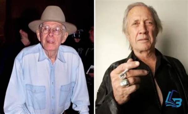 Harry Morgan Net Worth