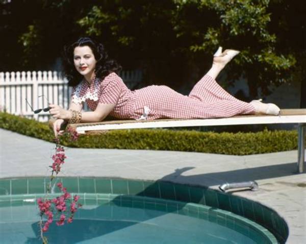 Hedy Thom Net Worth