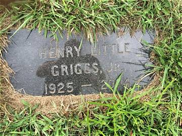 Henry Little Griggs Iii - Net Worth 2018, Bio & Wiki