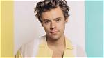 Herkie Styles Net Worth