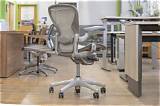 Herman Miller Net Worth
