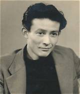 Hideyo Amamoto Net Worth