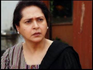 Ismat Zaidi Net Worth