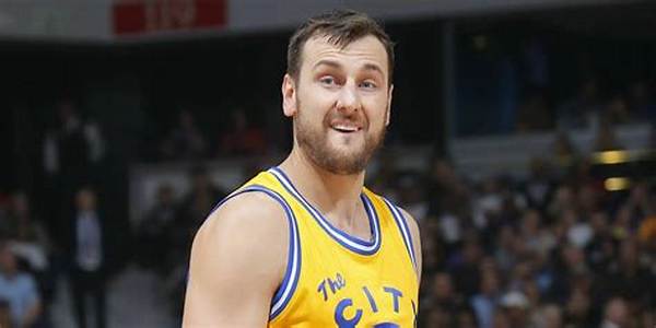 Jack Bogut Net Worth