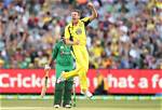 James Faulkner Net Worth