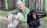 Jane Goodall Net Worth