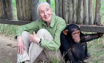 Jane Goodall Net Worth