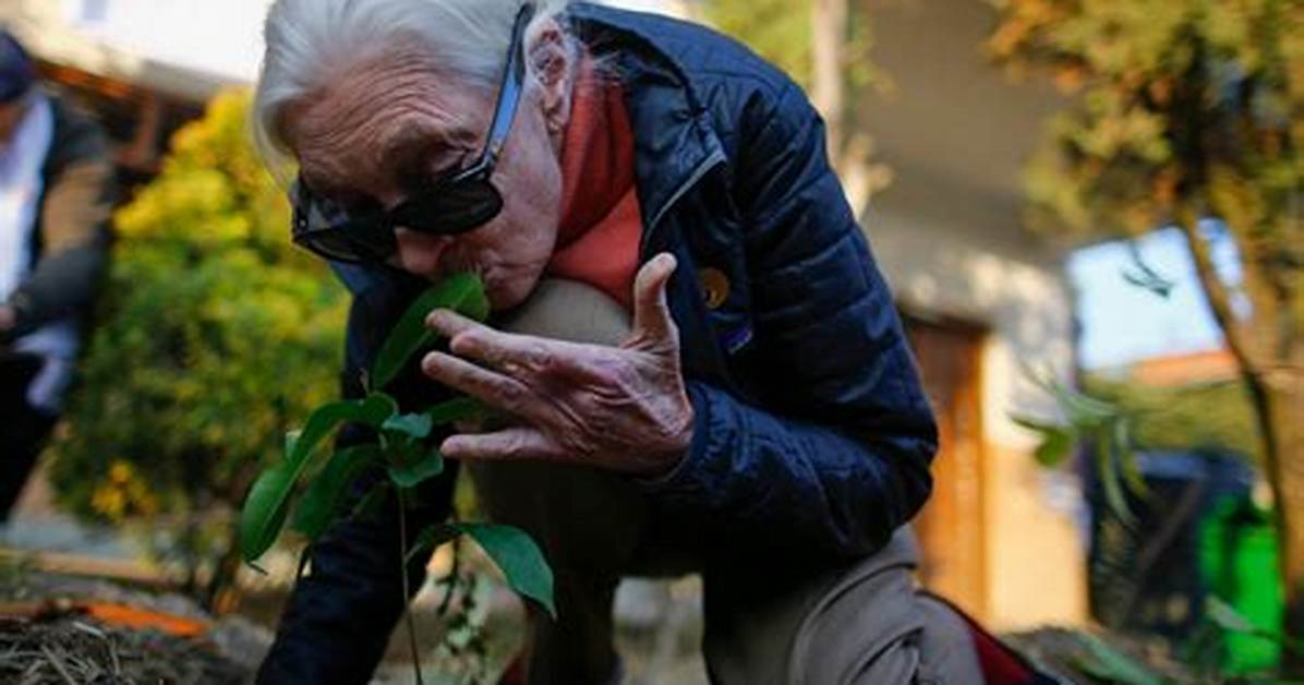 Jane Roberts Net Worth