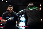 Jarrell Miller Net Worth