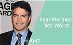 Jason Morales Net Worth