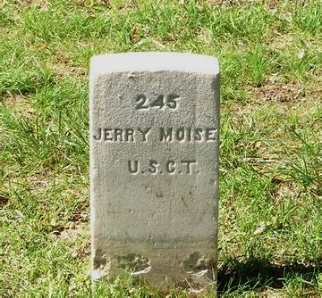 Jerry Moise Rosembert Net Worth