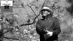 Jim Thorpe Net Worth