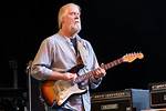 Jimmy Herring Net Worth