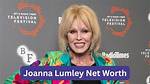 Joanna Mcneil Net Worth