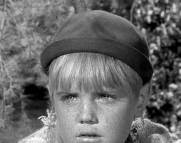 Joey Scott Net Worth