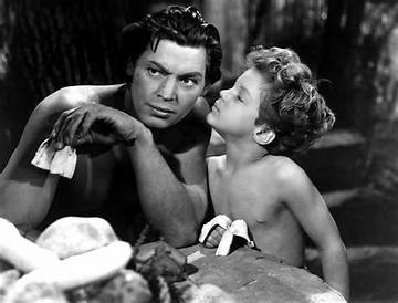 Johnny Sheffield Net Worth