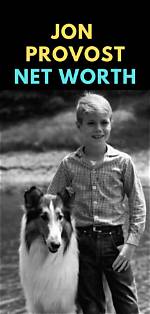 Jon Provost Net Worth