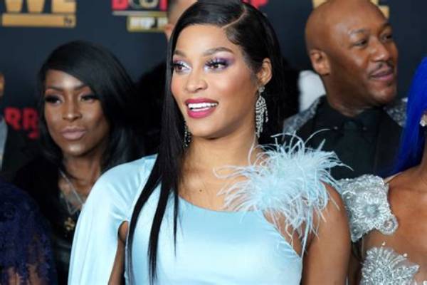 Joseline Hernandez Net Worth
