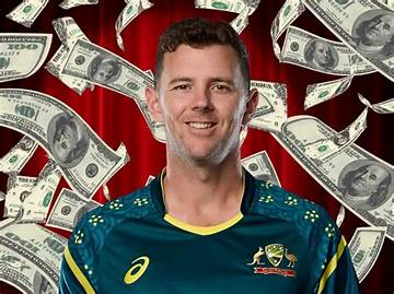 Josh Veselka Net Worth