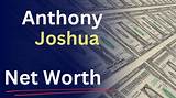 Joshua Becker Net Worth